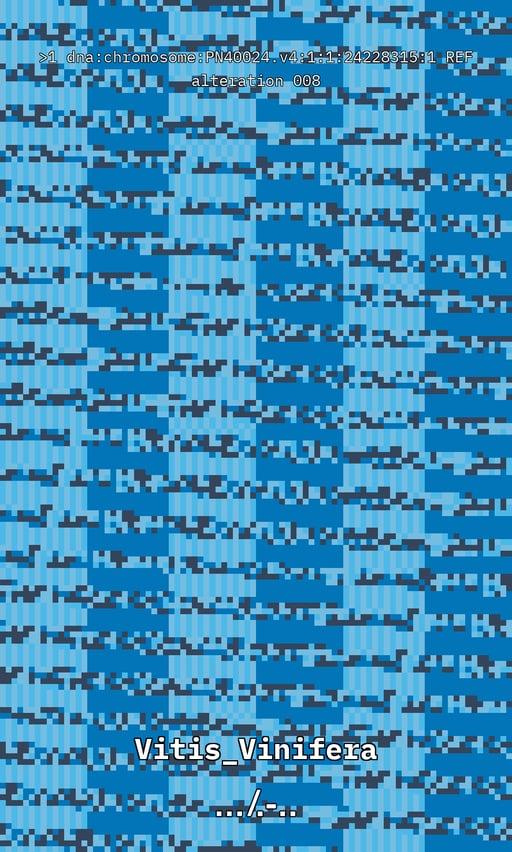 Vitis DNA Alteration #8