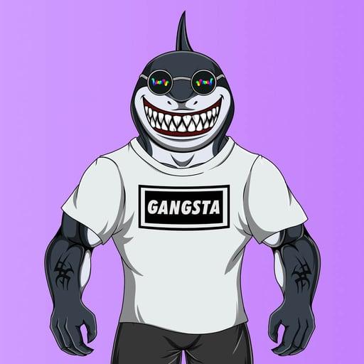 GangstaSharks #14