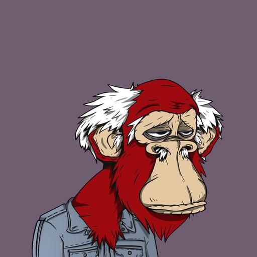 Grandpa Ape #2491