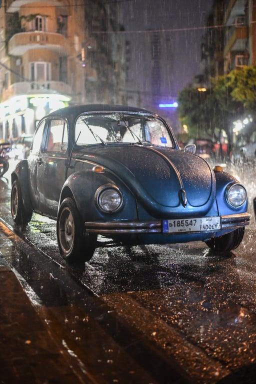 Street Edition #10 - Wet Beetle