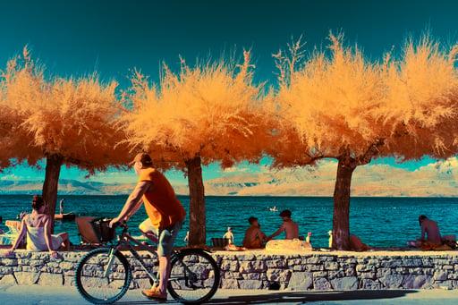 Beneath Brac’s Golden Trees