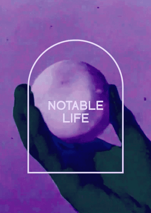 I AM A NOTABLE LIFE