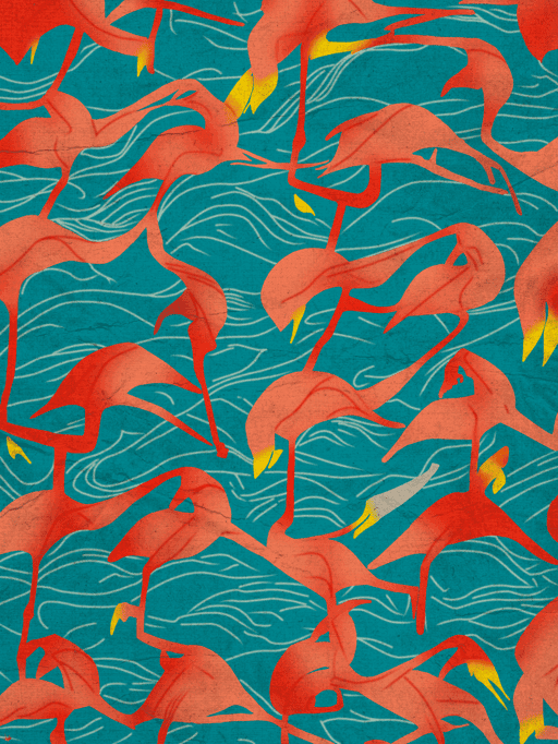 Flamingos in a floating world