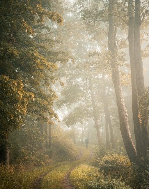 EMBRACE THE PATH: MIKKO LAGERSTEDT