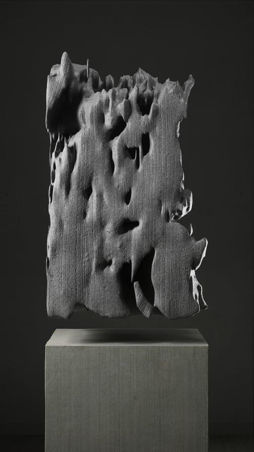 ULTRASOUND DATA SCULPTURES #3