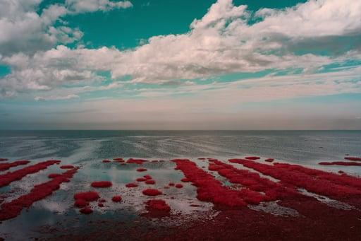 Sylt: Where the Sea Touches the Spirit