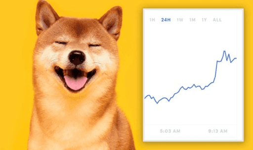 Dogecoin Rallies to Highest Price in Five Months Following Musk Twitter Takeover