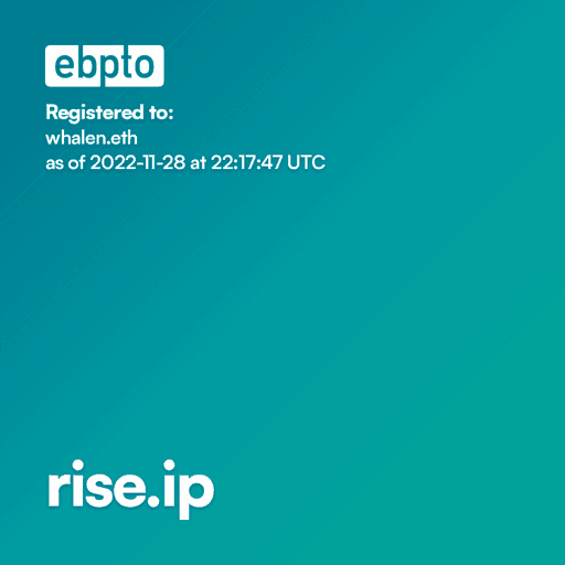 rise.ip