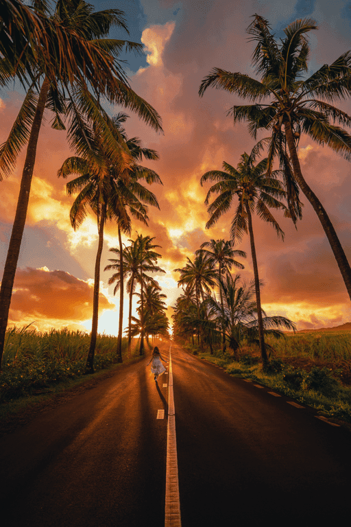 #16: Palm Tree Boulevard