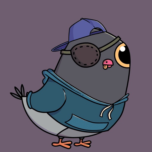 Pigeon #6479