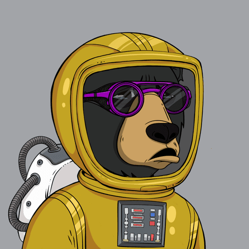 Okay Space Bear #5309