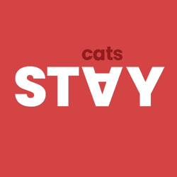 Stay Cats