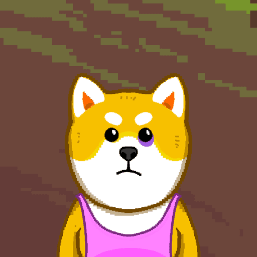 Shiba #1085