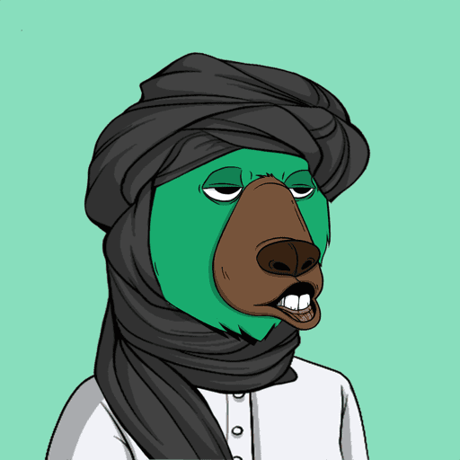 The Saudi Okay Bears #800