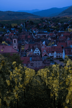 An Autumn in Alsace 2