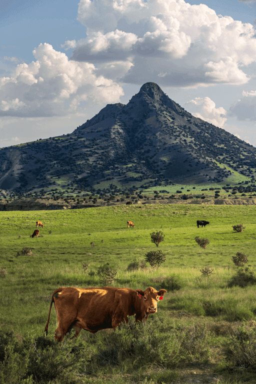 Inhabitants of the Valley