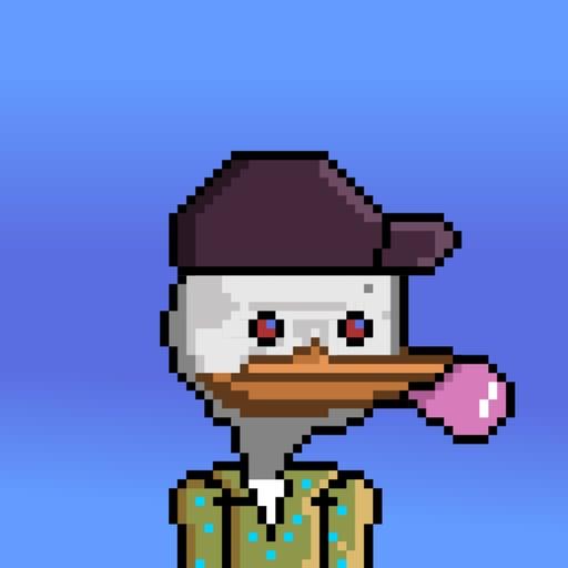 DACK DUCK #19