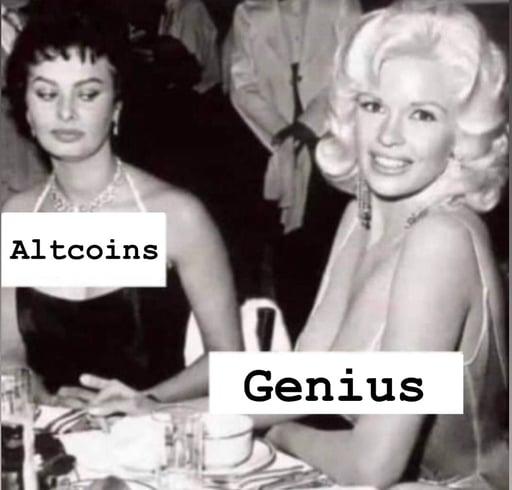 Altcoin Curiosity