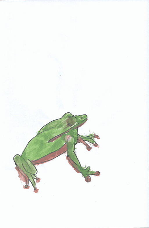 Frog 8 8 2020