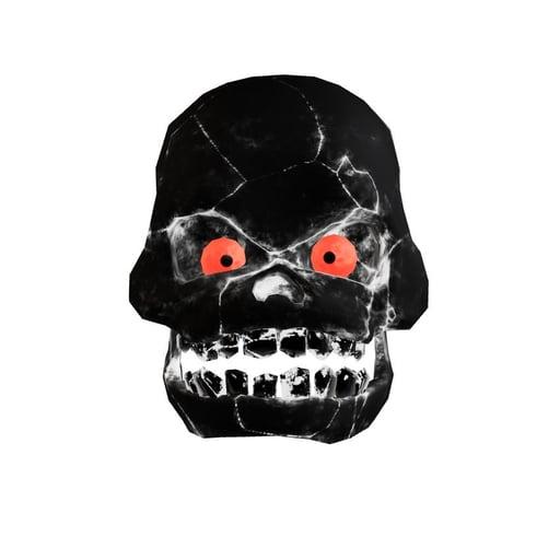 Skull #13