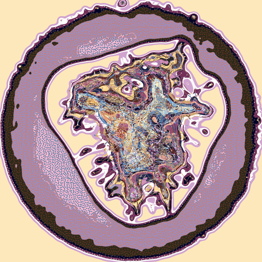 Phagocytosis