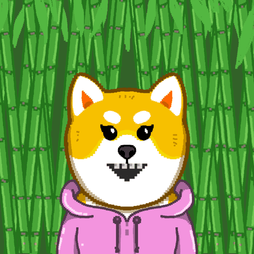 Shiba #17