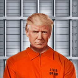 Trump Criminal Digital Cards