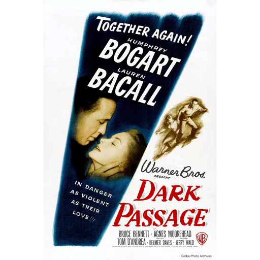 Dark Passage