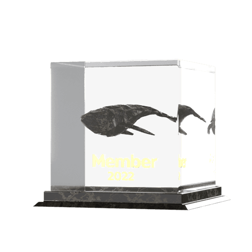 2022 yWhales Member