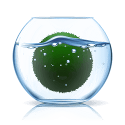 marimo.life