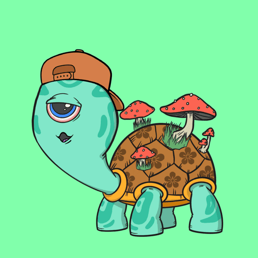 CycloTurtle #1374