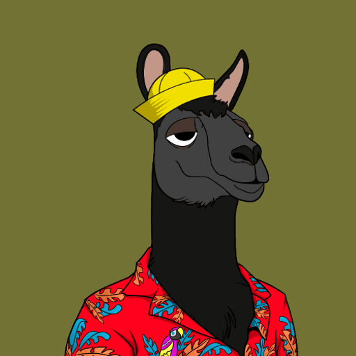 OKay Llama Yacht Club #12