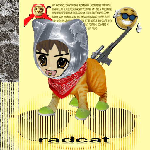 Radcat #1833