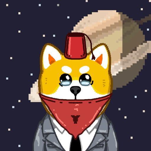 Shiba #333