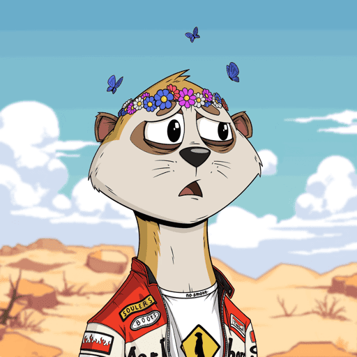 Worried Meerkat #100