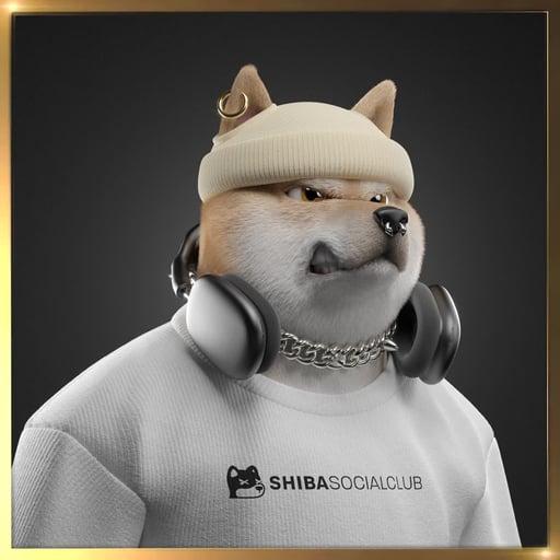 Shiba #5364