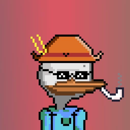 DACK DUCK #257