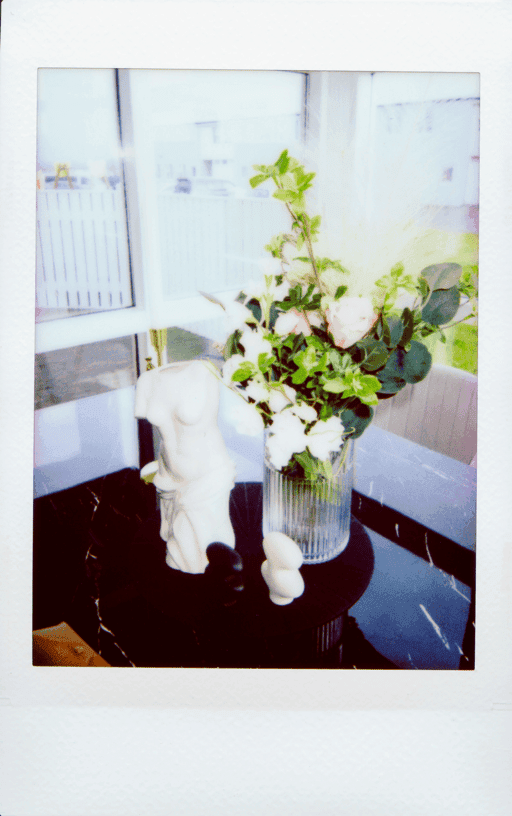 Polaroid 15 - Centerpiece