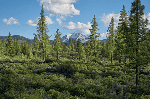 Lassen Shadowscape #16