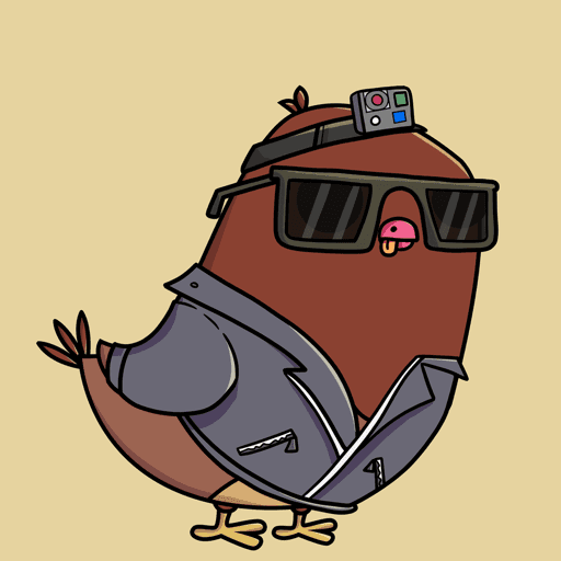 Pigeon #9081