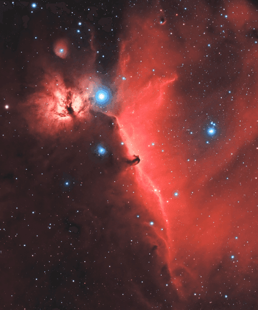 Horsehead In Space