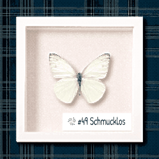 #49 Schmucklos