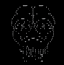 ASCII Apepe