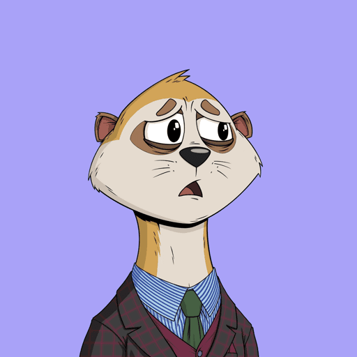 Worried Meerkat #209