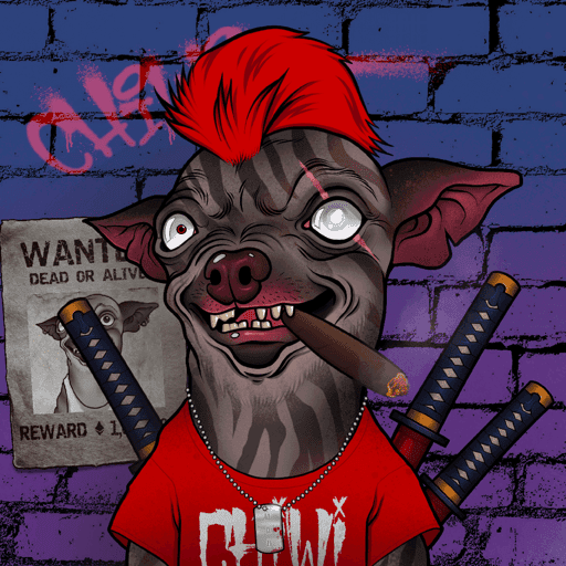 Mad Chihuahua #11