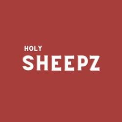 HolySheep_official