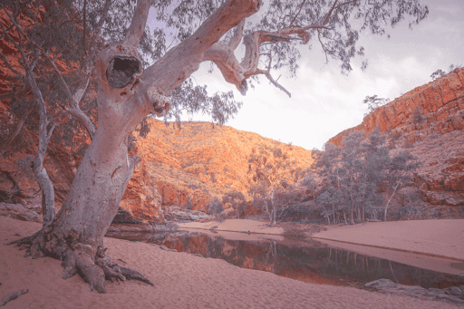 Namatjira Country