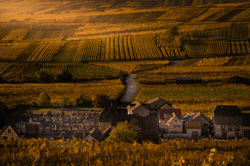 An Autumn in Alsace