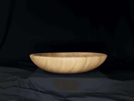 Wooden Bowl #1