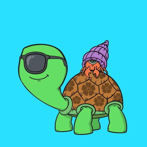 CycloTurtle #60